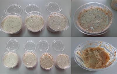 Sensory, textural, physico-chemical and enzymatic characterization of melted cheese with added potato and carrot peels